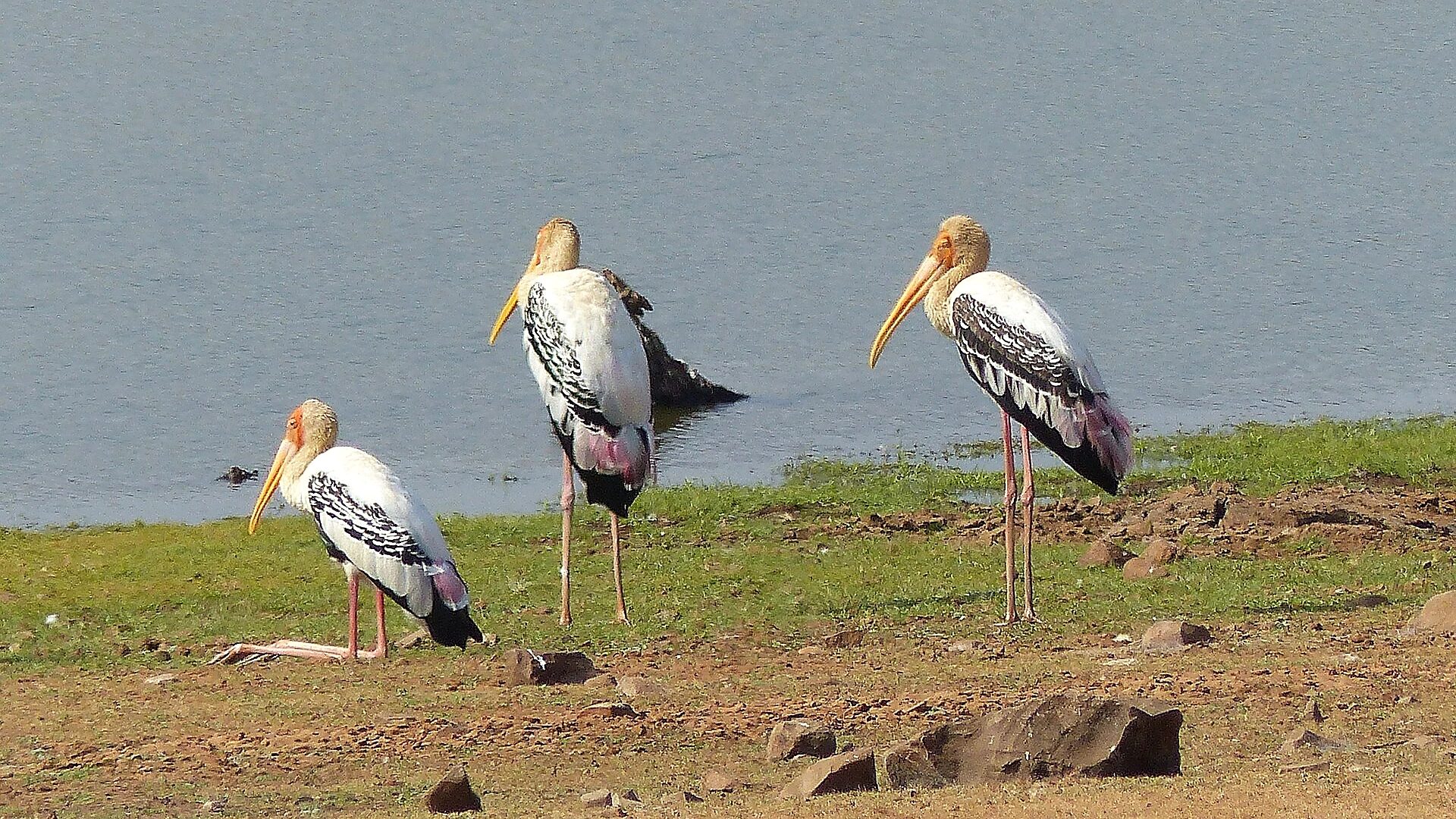 Famous place image of Chandrapur