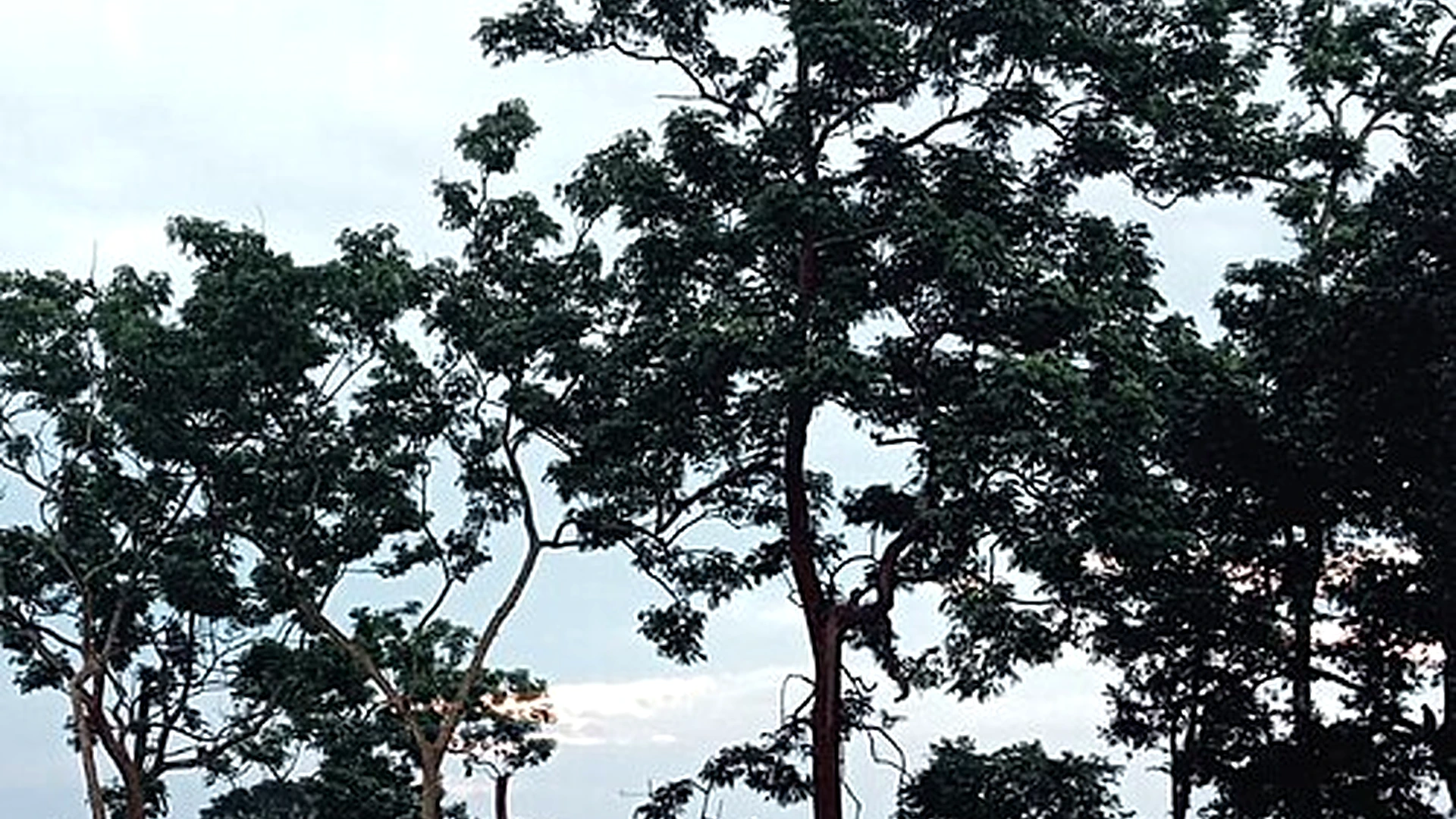 Famous place image of Golaghat