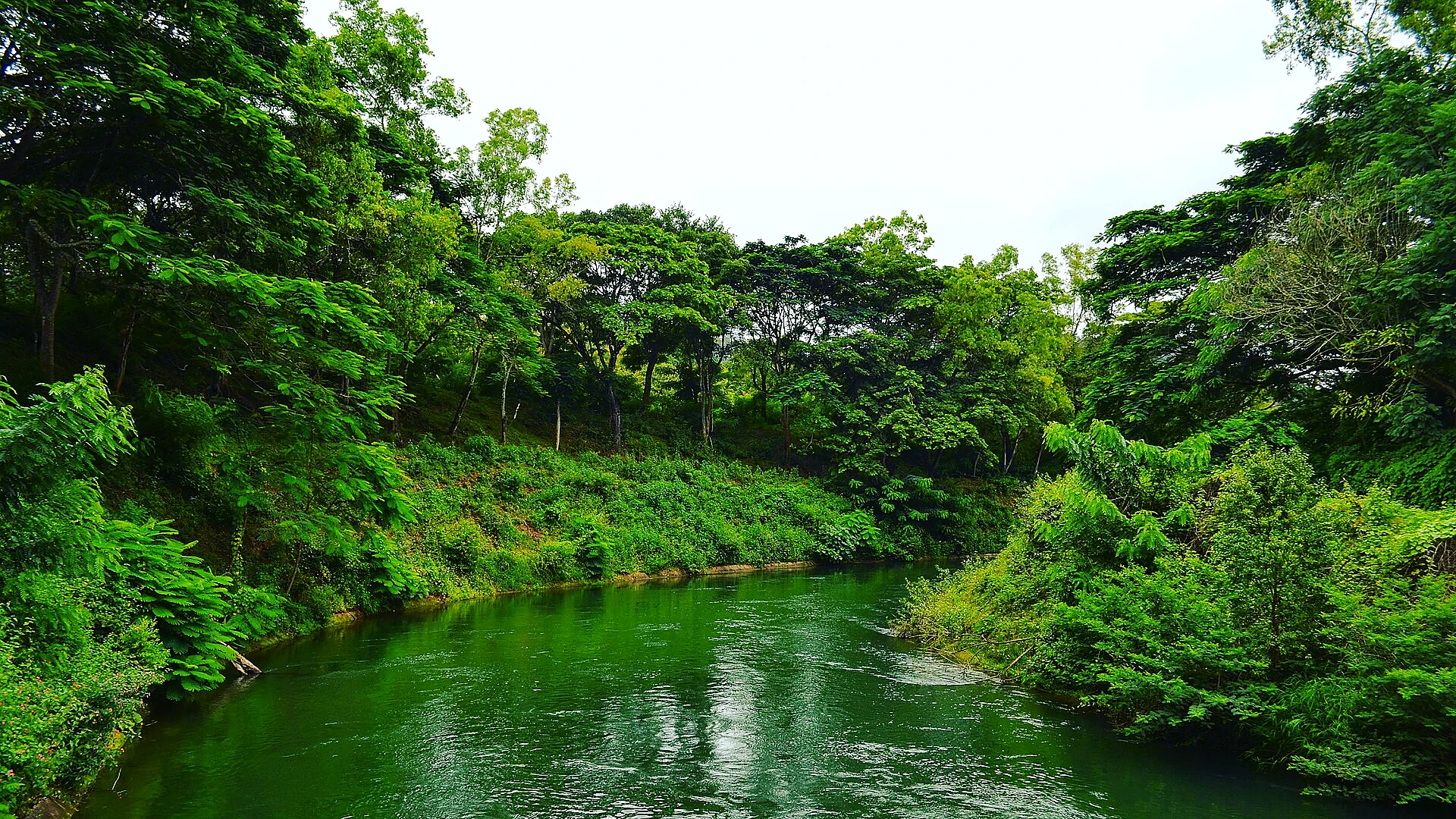 Famous place image of Kodagu