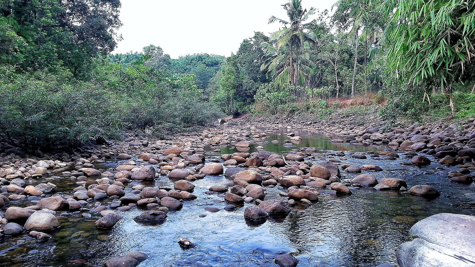 Famous place image of Kozhikode