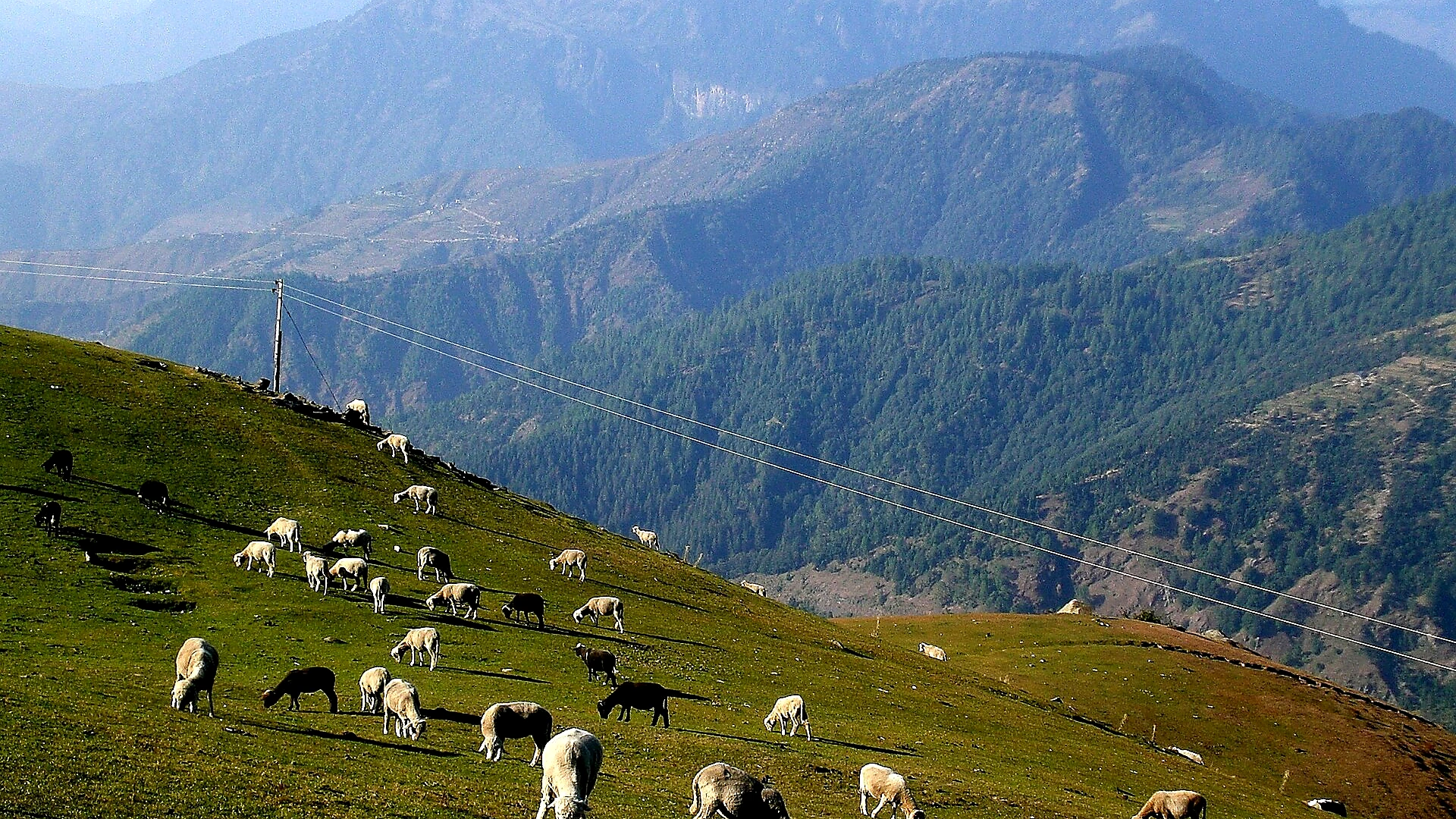 Famous place image of Mandi