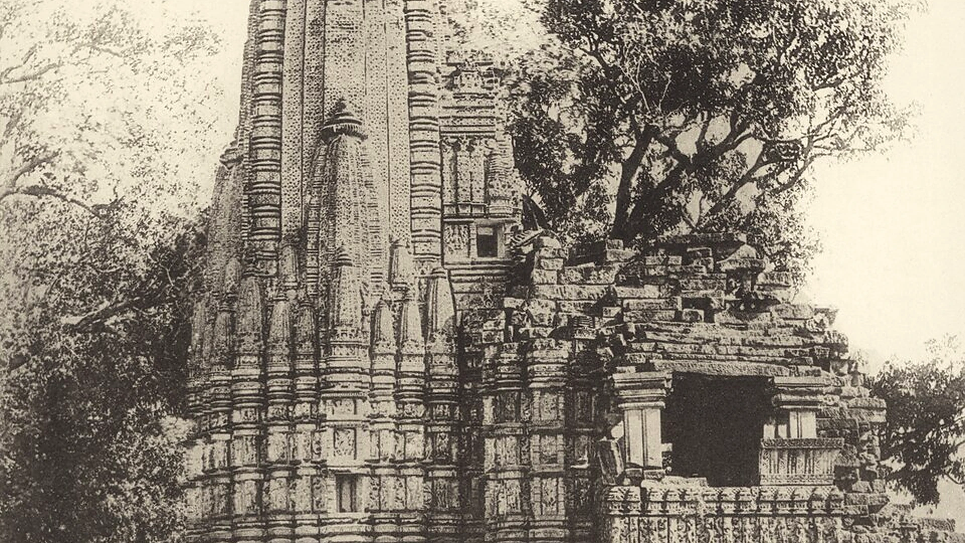 Famous place image of Shahdol