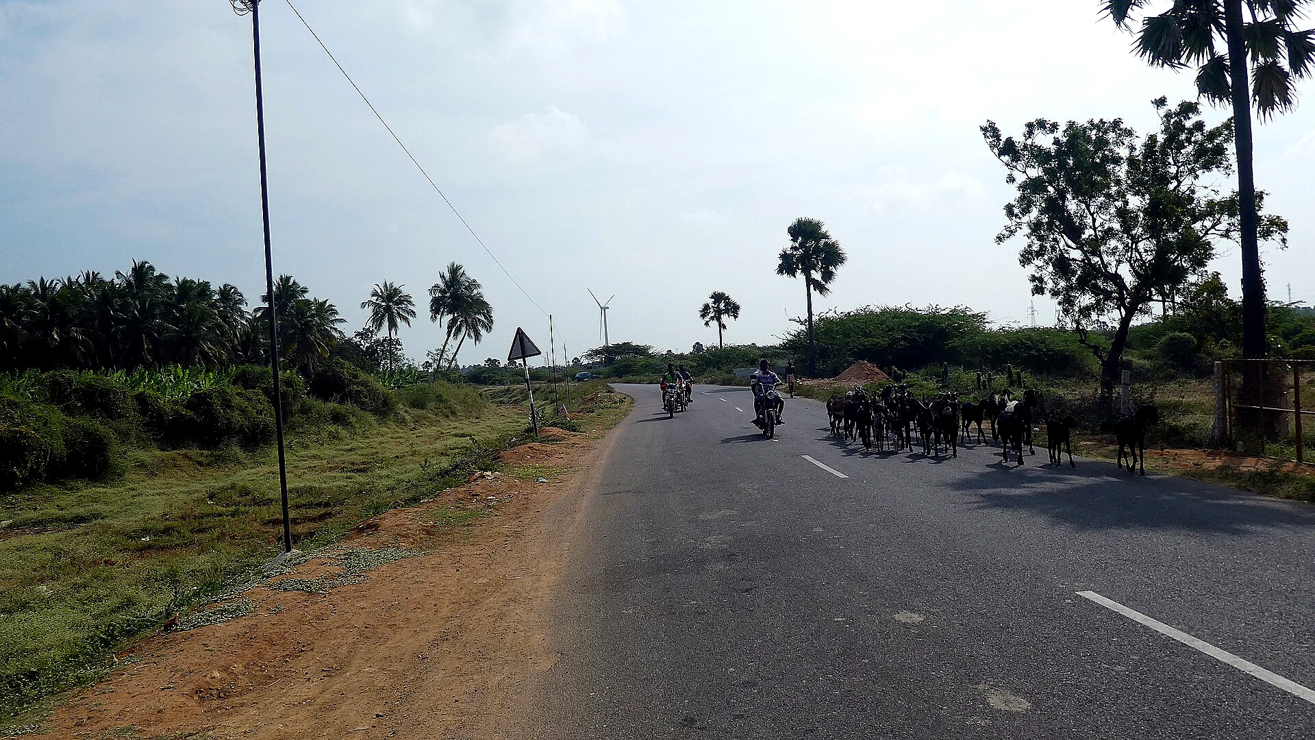 Famous place image of Tirunelveli