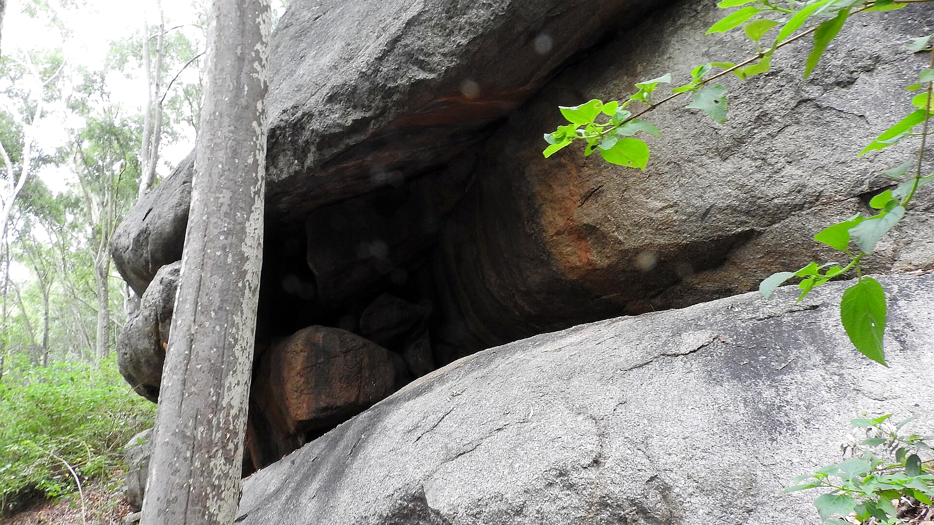 Famous place image of Tirupathur