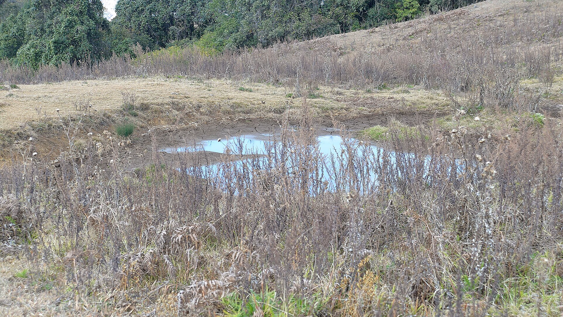 Famous place image of Ukhrul